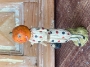 The Jack O'Lantern Man