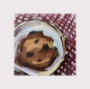 Chocolate Chip Cookie – 5x5