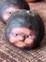 Plum Silly