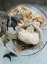 Picture of Frothy Clouds TuTu - ooak by The Pumpkinbelle