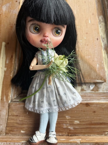 Picture of "Martine" - Custom Middie Blythe by Blue Mountain Blythes - PROMO PRICE