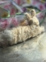 Picture of Sleepy Bun - ooak by Letty Worley  