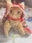 Little Red Meowing Hood