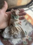 Picture of Miss Mouse 6"" OOAK  - by Nicol Sayre Folk Dolls 