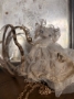 Picture of "SomeBunny Special & Purse" - ooak art teddy set by Letty Worley  