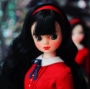 Picture of Doran Doran Doll by ATOMARU "Camellia" Korean 1/6 scale doll - copy