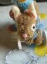 Picture of Hops & Waddles Pulltoy Set - ooak by Jody Battaglia of FunTown