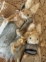 Picture of "Alice in WonderBUNNYland " - ooak art rabbit by Letty Worley  