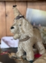 Picture of "Grand Party Pet " - ooak soft sculpture dog  by Letty Worley 