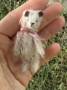 Picture of Tiny Ted Tootsie- 2.75" ooak by Widdershin Bears  
